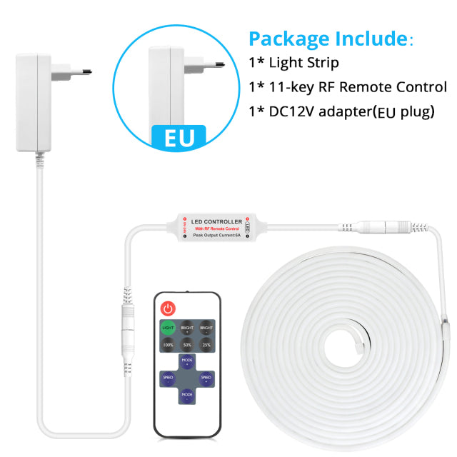 DC12V LED Neon Light with RF Remote Control