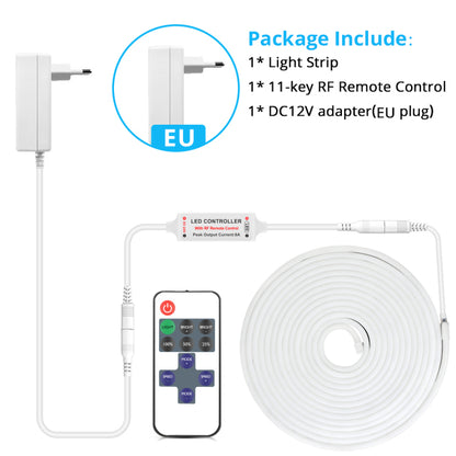 DC12V LED Neon Light with RF Remote Control