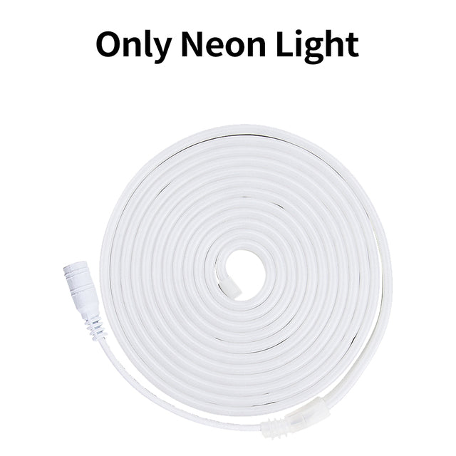 LED Flexible Neon Light