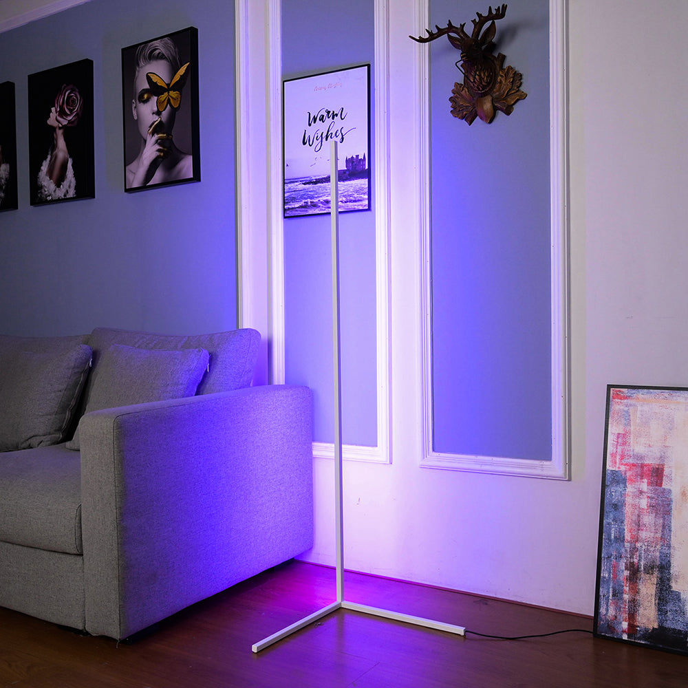 RGB Floor Lamp