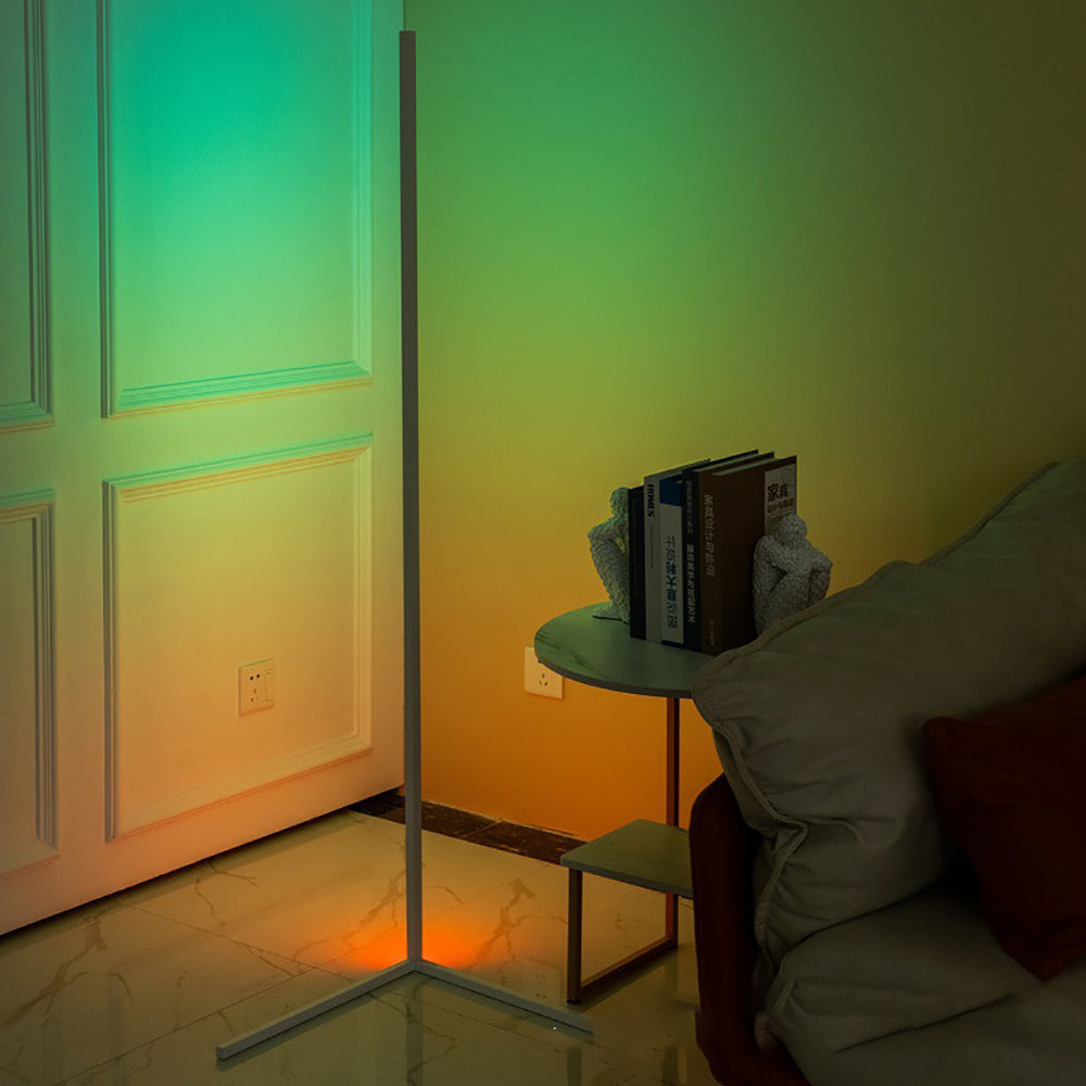 RGB Floor Lamp